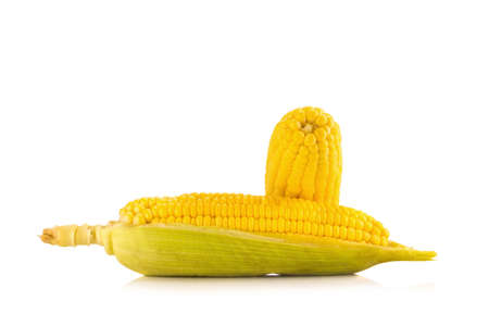 Corn on white background.の写真素材