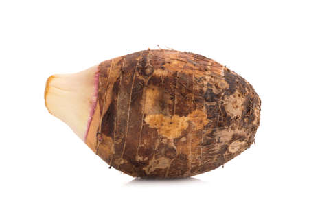 taro on white background.の写真素材