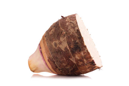 taro on white background.の写真素材