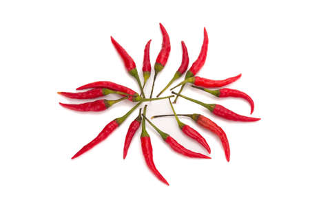 chili pepper isolated on a white background.