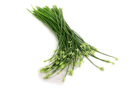 Chives flower or Chinese Chive isolated on white background.