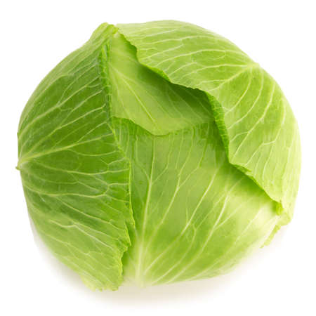 cabbage isolated on white background.の写真素材