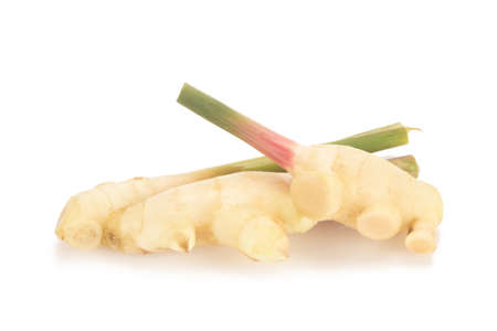 Young Fresh ginger isolated on white background.