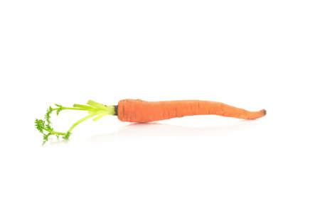 baby carrots isolated on a white background.の写真素材