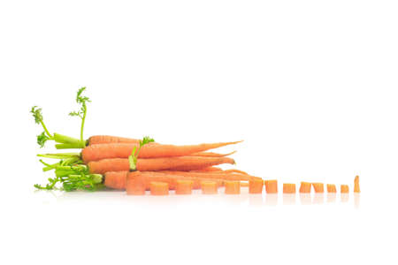 baby carrots isolated on a white background.の写真素材
