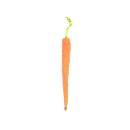 baby carrots isolated on a white background.の写真素材