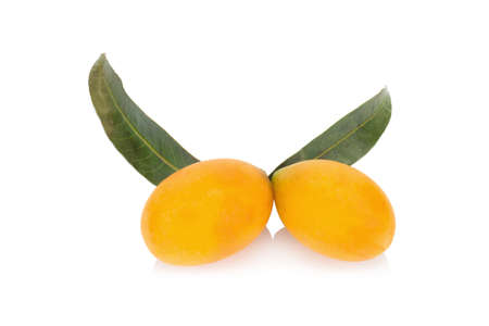 Marian plum Thai fruit isolated on white background. Mayongchid. Maprang. Marian Plum. Plum Mango.の写真素材