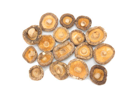 dried mushrooms on white background.