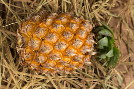 pineapple. straw. on wooden.