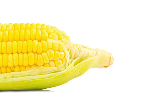 corn fresh isolated on white background. closeup rear part.
