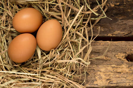 egg. straw. on wood.