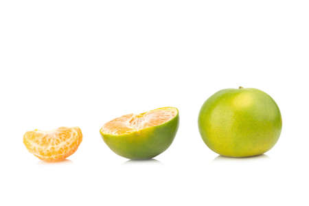 tangerine. sweet orange. on white background.の写真素材