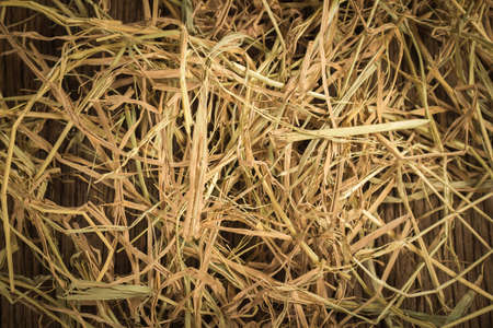dry straw texture background.on wood.