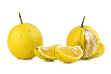 ベルガモットオレンジの写真 イラスト素材一覧 3 091件 ストックフォトのamanaimages Plus