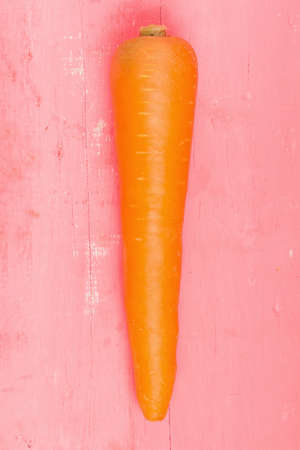 carrot on pink wood.の写真素材