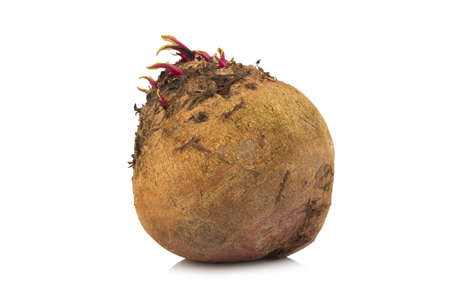 beetroot isolated on white background.の写真素材