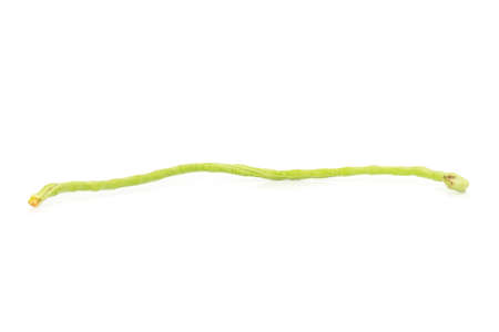 Long bean isolated on white background.