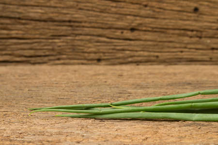 Spring onion on wood.の写真素材