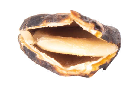 peeled sunflower seeds isolated on white background.の写真素材