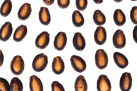 peeled pumpkin seeds isolated on white background.の写真素材