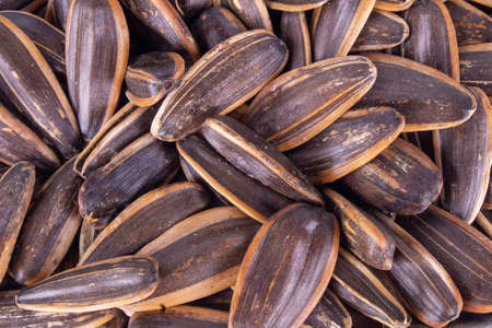 peeled pumpkin seeds isolated on white background.