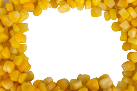 sweetcorn isolated on white background.