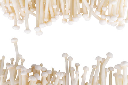 golden needle mushroom texture isolated on white background.の写真素材