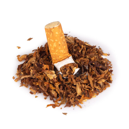 tobacco leaves cigarette butts isolated on white background.の写真素材