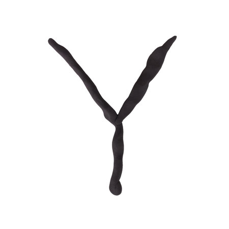 Y letter plasticine english collection isolated on white background.の写真素材