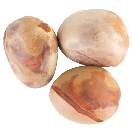 Jackfruit seeds isolated on white background.の写真素材