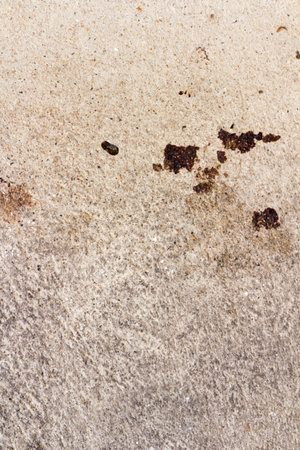 Wet cement surface art retro closeup.の写真素材
