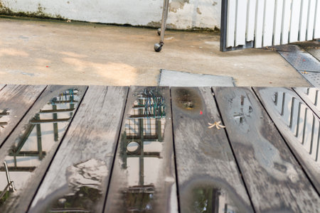 Wet wooden floor house water brown.の写真素材