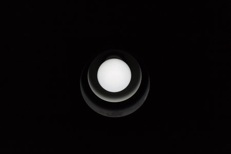 Black and white round light bulb.