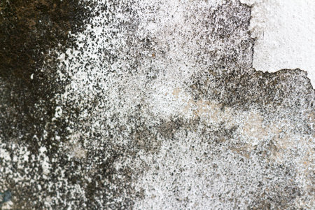 The white cement wall surface is peeling, dirty, old.の写真素材