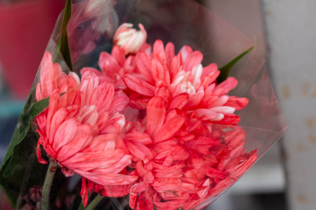 Pink Flowers Wrapped in Plastic Displayed at Flower Shop.