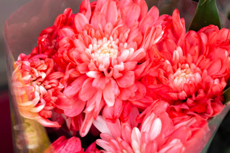 Pink Flowers Wrapped in Plastic Displayed at Flower Shop.