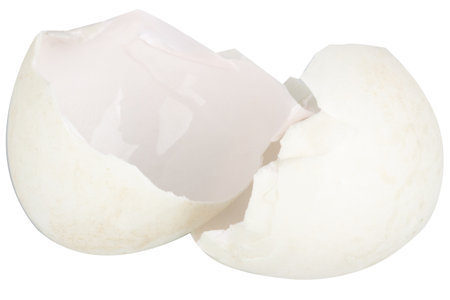 Broken duck eggshell on white background.