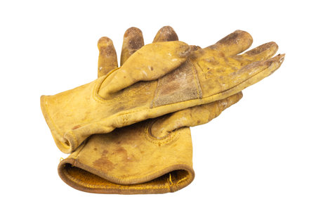Yellow work gloves isolated on white background.の写真素材