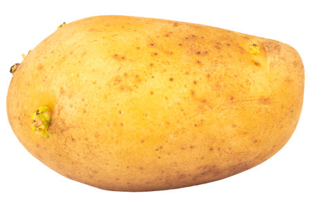 potatoes isolated on white background piece.の写真素材