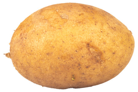 potatoes isolated on white background piece.の写真素材