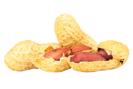 peanuts isolated on white background single.