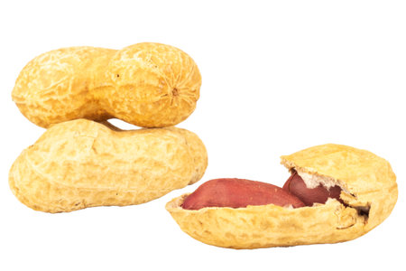 peanuts isolated on white background.の写真素材