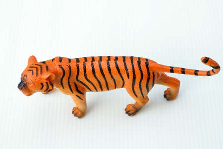 Animal model Toys for childrenの写真素材