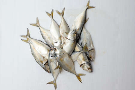 Fresh mackerelの写真素材