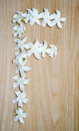 Create letters with flowers.の写真素材