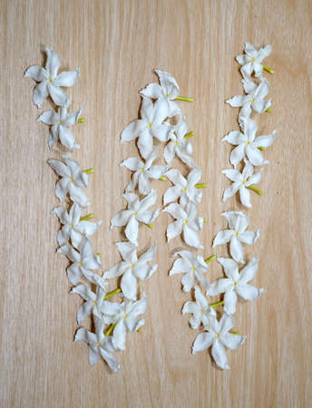 Create letters with flowers.の写真素材