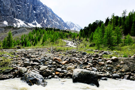 mountain landscape. Altaiの写真素材
