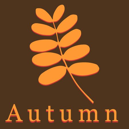 Vector acacia leaf. Autumn illustration on brown background for calendar.のイラスト素材
