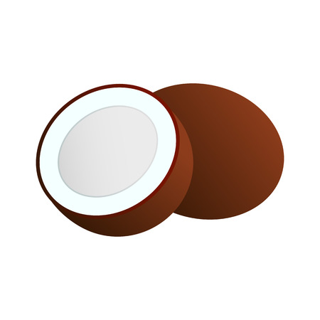 Vector icon of coconut whole and sliced. Natural product. Organic food.のイラスト素材