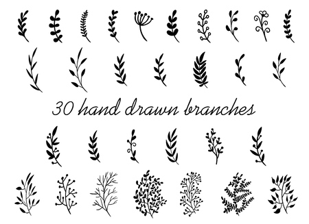 Hand drawn branches with leaves isolated on white background. Decorative floral elements for your design. Vintage vector collectionのイラスト素材